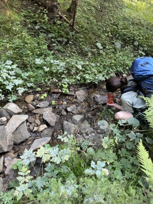 Хороший потічок. А а попередньому важче набрати води. Тут кращ