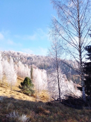 Неймовірно красиво, аж дух перехоплює