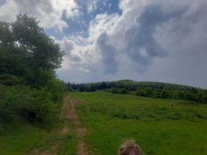 Вздовж підйомника