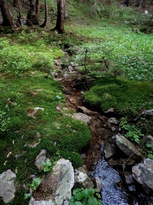 воду можна набрати в потужному джерелі нижче, якщо орієнтуватися на 