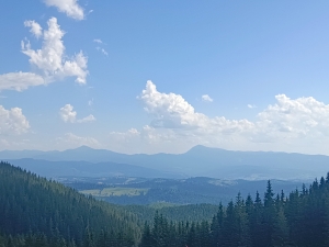 Лишали авто на паркінгу #2 в Буковелі, прямо біля початку маршруту. Для не підготовлених і дітей підйом реально важкий (значно важчий за Хом\'яка з Буковелю, чи Говерлу з Заросляка). Сумарно вийшло 15-16 км, 5,5 годин. Паркінг коштував 280 грн 07.2025.