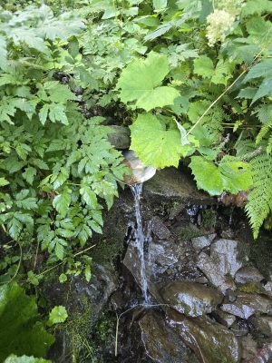 31.07.2025

багато води, стабільне