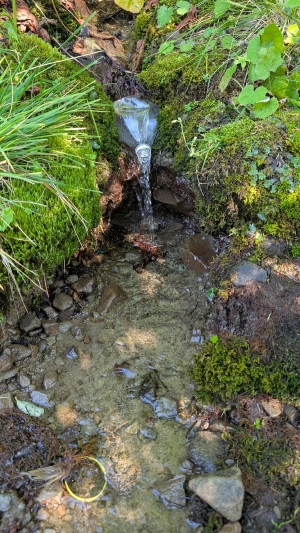Вода є, 10.08.2025