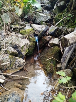 Струмок тепер значно легше води набрати