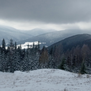 гора Ягідна в січні