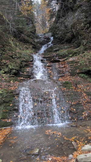 Середній Гук