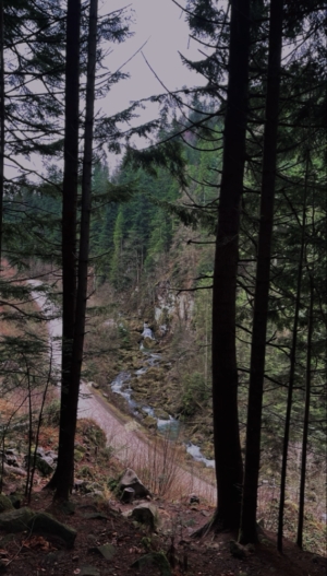 Вид з гори ⛰️