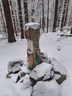 Вершина гори