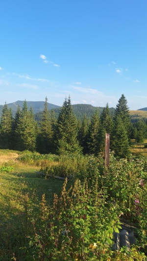 На полонині буде ця металева белька показує в сторону джерела, йдіть вниз, буде перші дерева і вниз до валу
