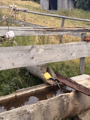 26.08.2026 джерело є, водичка трошки брудна, тому бажано фільтрувати через фільтр або марлю
