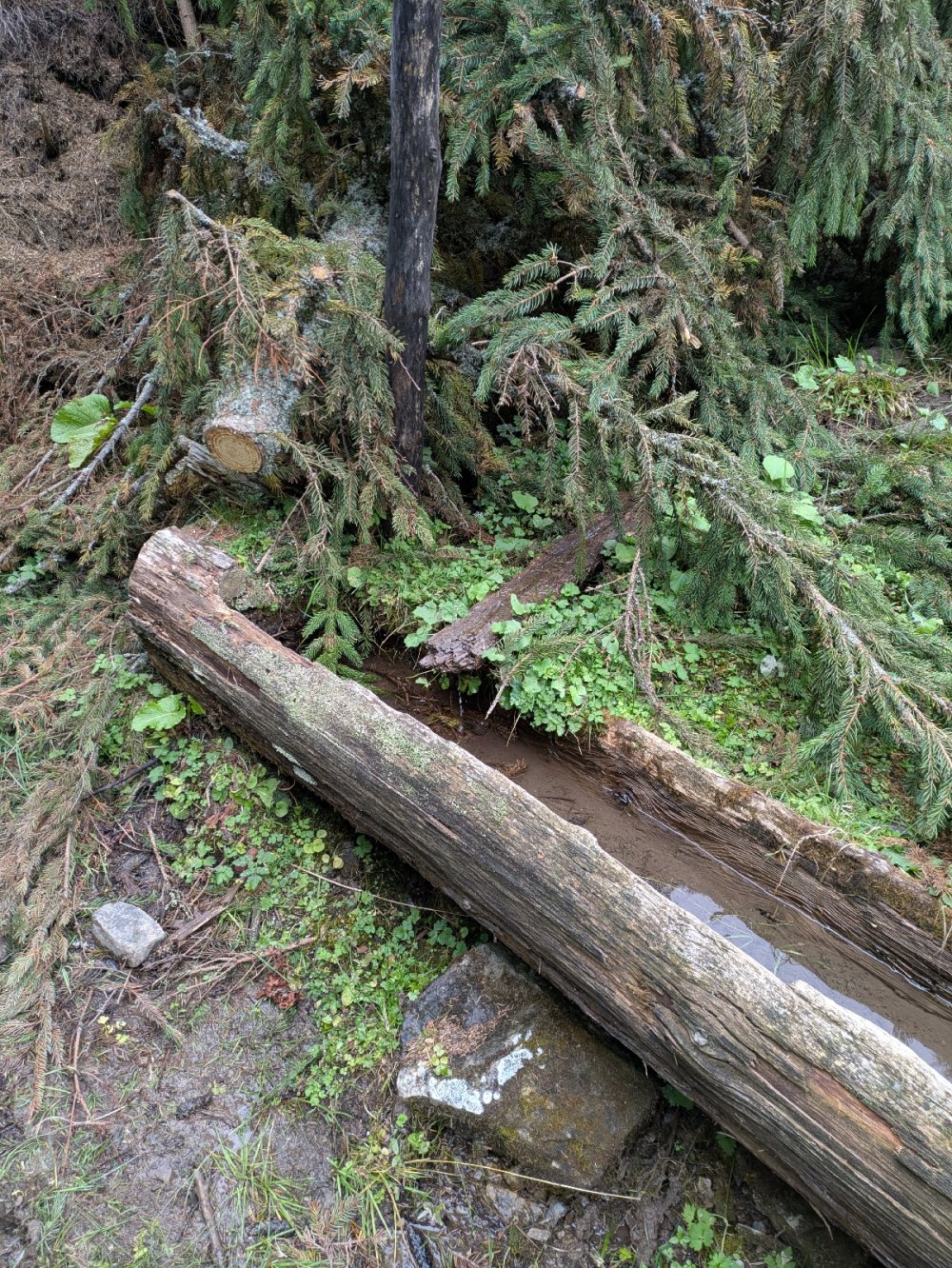 Water Source
