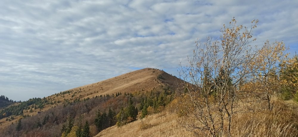Парашка