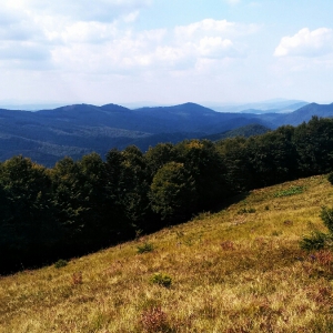 Вид з вершини Малої Шебели на захід