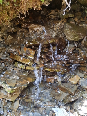 Чиста вода з-під каміння